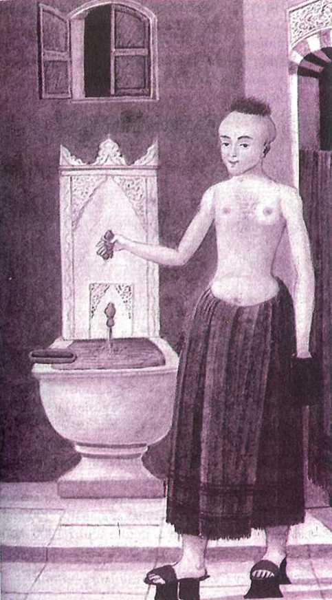 Восточные услады, или любовные игры султанов - i_049.jpg