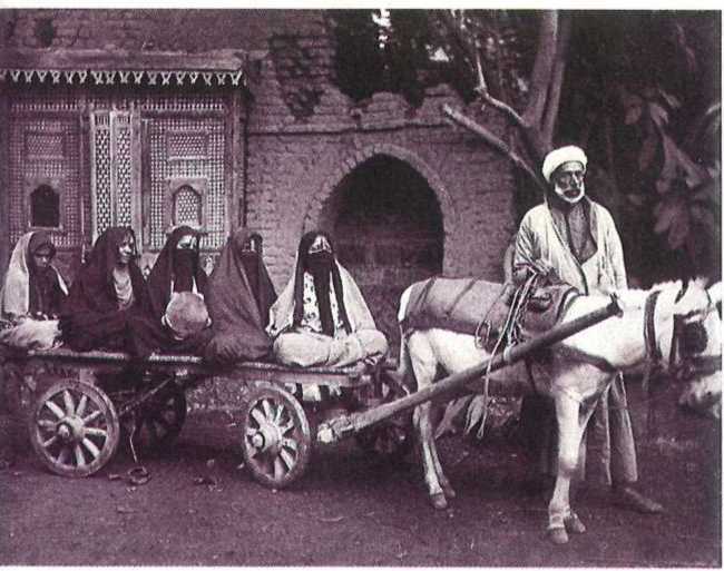 Восточные услады, или любовные игры султанов - i_077.jpg