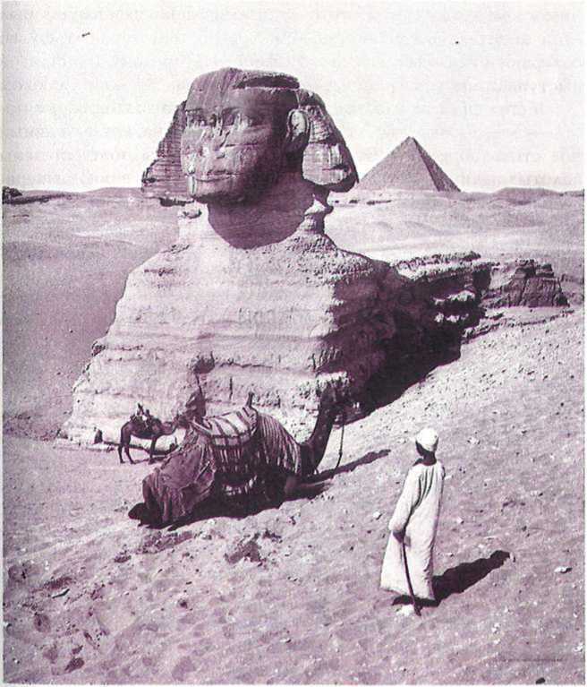 Восточные услады, или любовные игры султанов - i_087.jpg