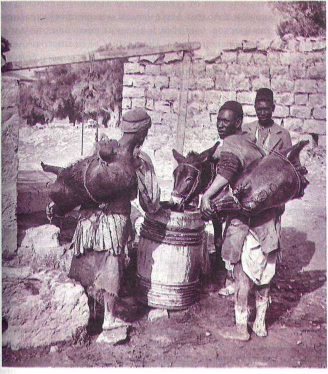 Восточные услады, или любовные игры султанов - i_089.jpg