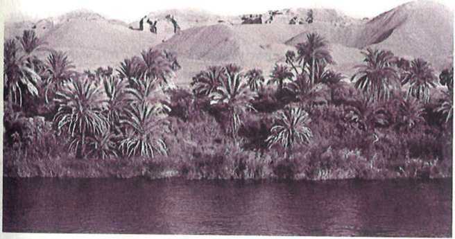 Восточные услады, или любовные игры султанов - i_090.jpg