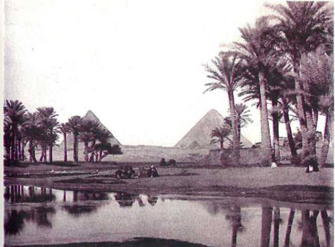 Восточные услады, или любовные игры султанов - i_091.jpg