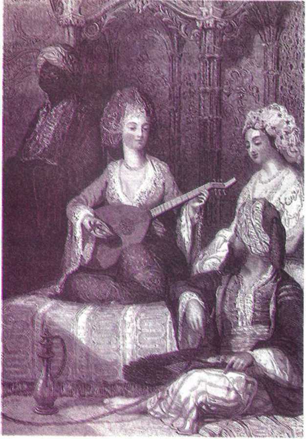 Восточные услады, или любовные игры султанов - i_116.jpg