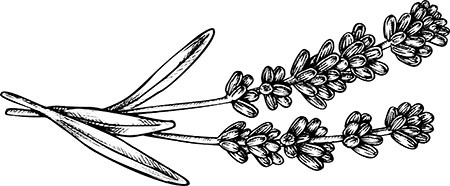 Орлеан - i_029.jpg