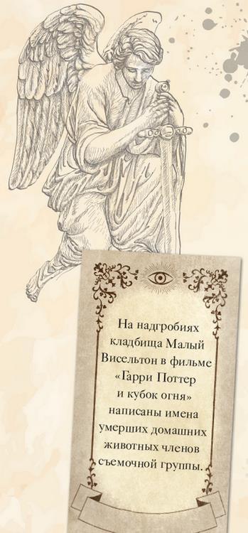 Волшебный мир Гарри Поттера. 250 магических фактов, которые должен знать каждый фанат - i_022.jpg