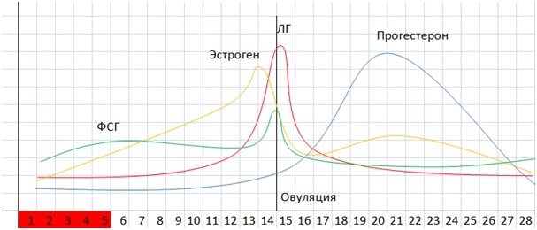 Хомотаксис. Часть 2. Астрологическая - _0.jpg