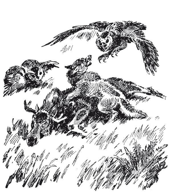 Бродяги Севера - i_002.jpg