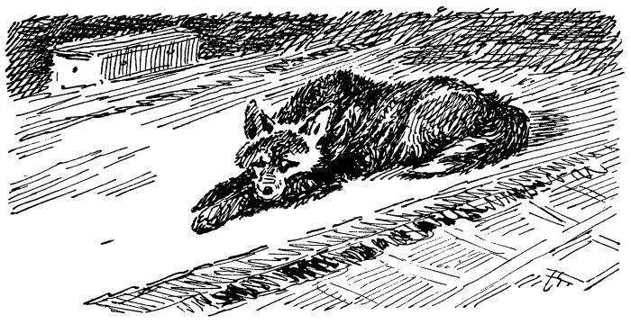 Бродяги Севера - i_006.jpg