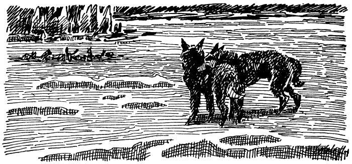 Бродяги Севера - i_009.jpg