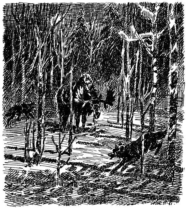 Бродяги Севера - i_016.jpg