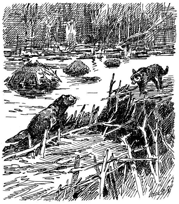 Бродяги Севера - i_020.jpg