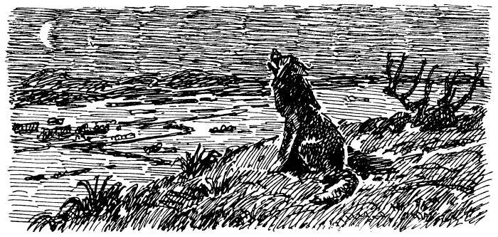 Бродяги Севера - i_022.jpg