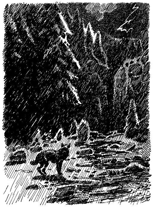 Бродяги Севера - i_023.jpg