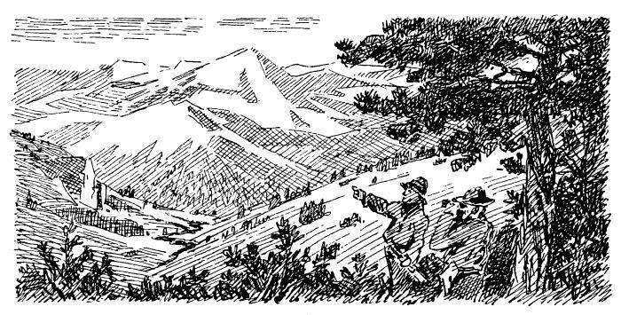 Бродяги Севера - i_027.jpg