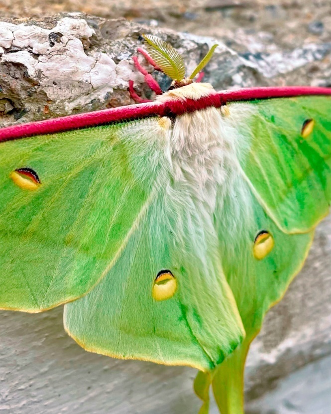 А чего дома сидеть? Том 4: Россия, Афганистан и Иран - _18.jpg