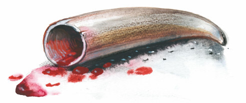 Охотники на мамонтов. Посёлок на озере - i_015.jpg