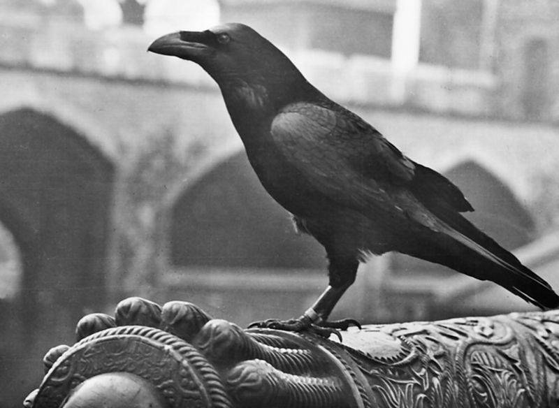 Исторический центр Лондона (СИ) - i_062.jpg