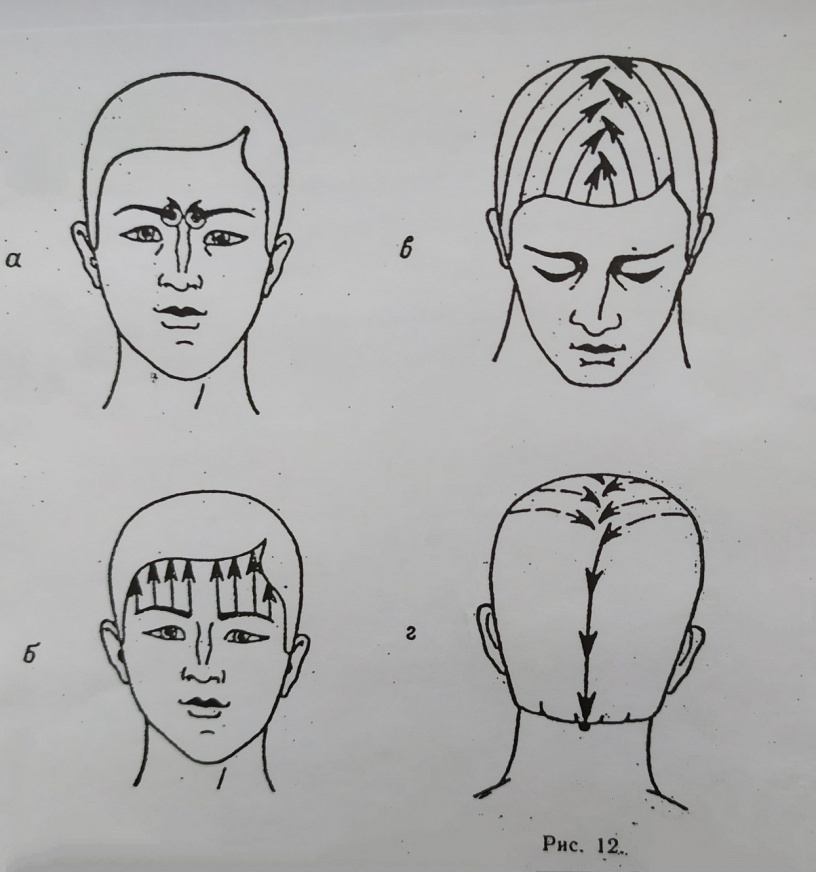 Эволюция далёкая и близкая - _0.jpg