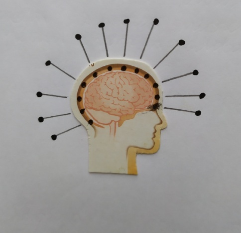 Эволюция далёкая и близкая - _1.jpg