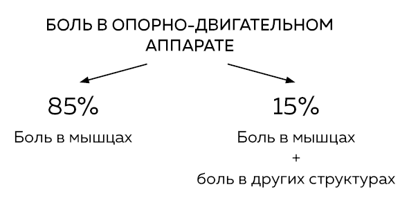 Избавься от триггерных точек. Готовые программы упражнений для устранения боли в позвоночнике, суставах и мышцах - i_005.png