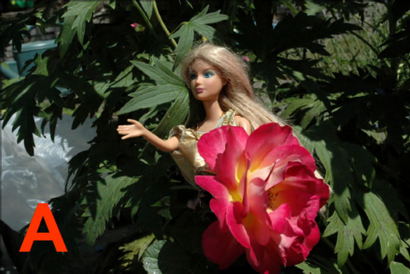 Сказка розового домика о друзьях и буквах. Стоп, Кадабра! - i_012.jpg