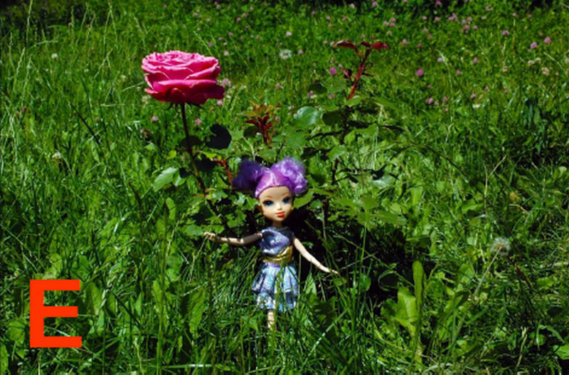 Сказка розового домика о друзьях и буквах. Стоп, Кадабра! - i_013.jpg