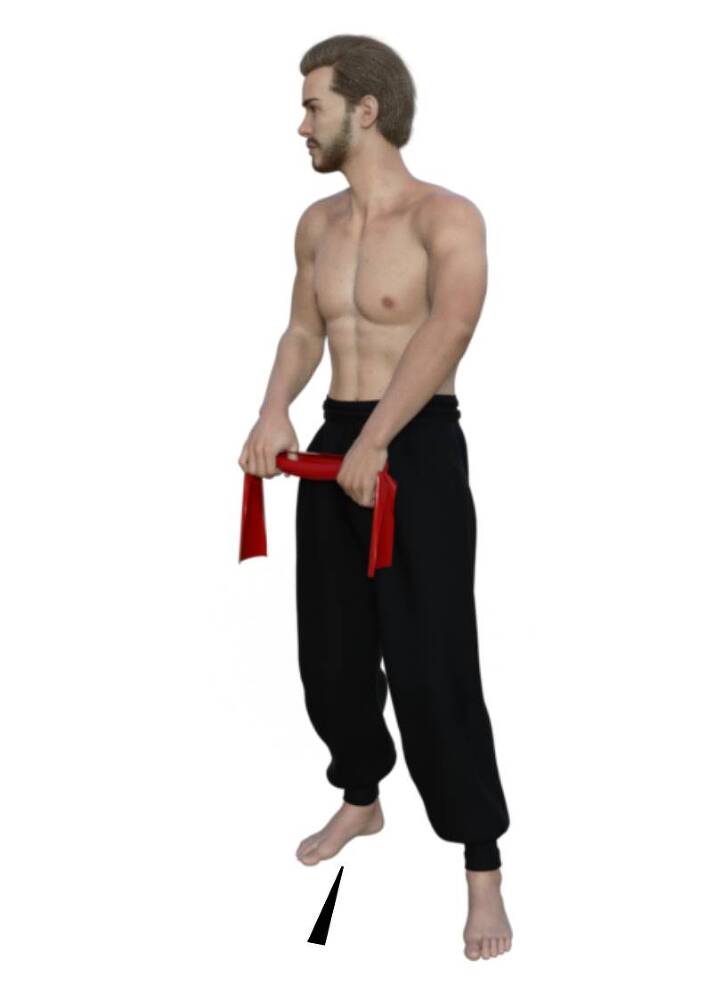 Система Романова - _1.jpg