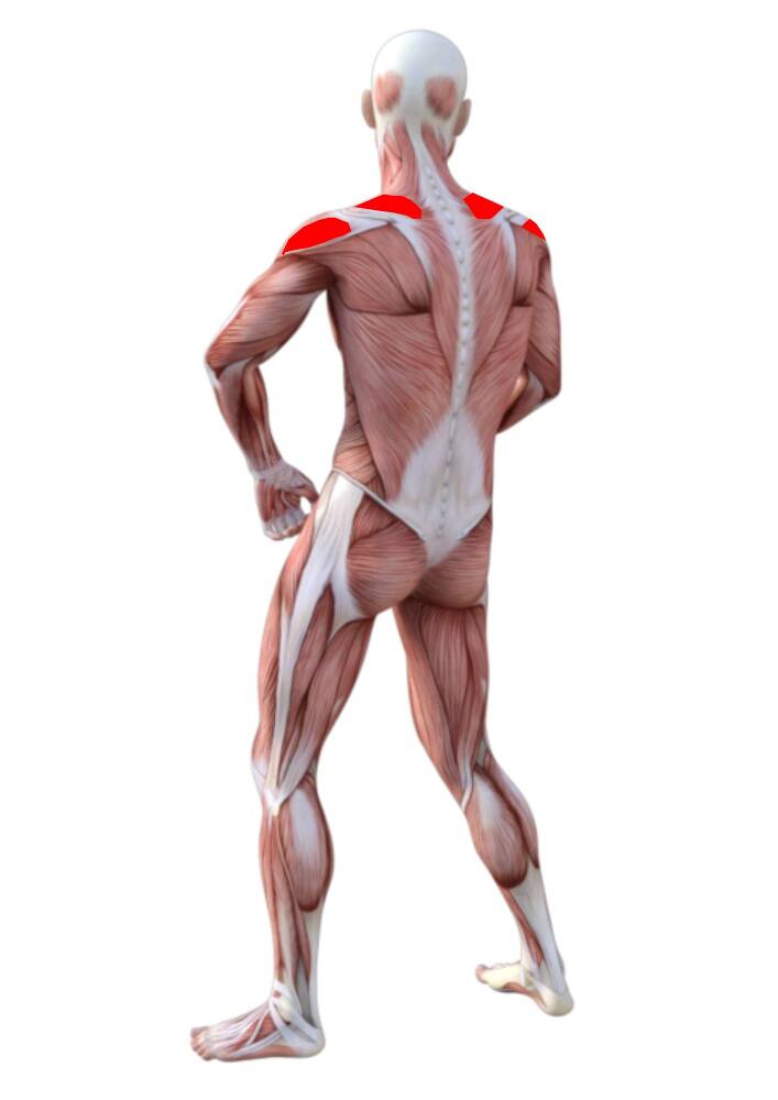 Система Романова - _3.jpg