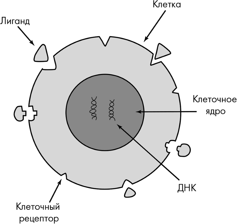 Сила разума. Сборник книг доктора Джо Диспензы - i_007.png