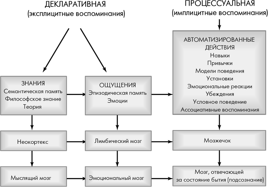 Сила разума. Сборник книг доктора Джо Диспензы - i_017.png