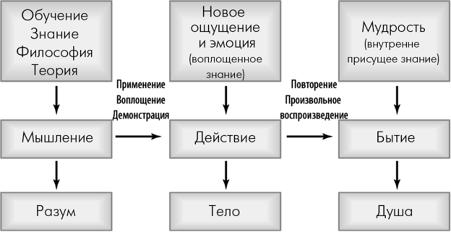 Сила разума. Сборник книг доктора Джо Диспензы - i_018.png