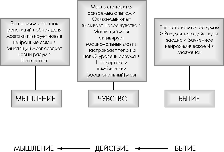 Сила разума. Сборник книг доктора Джо Диспензы - i_020.png
