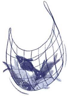 Торум и кедровый посох. Ханты-мансийские сказки - i_007.jpg