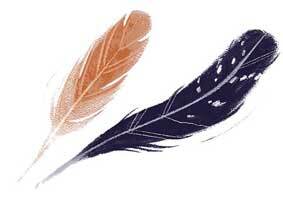 Торум и кедровый посох. Ханты-мансийские сказки - i_010.jpg