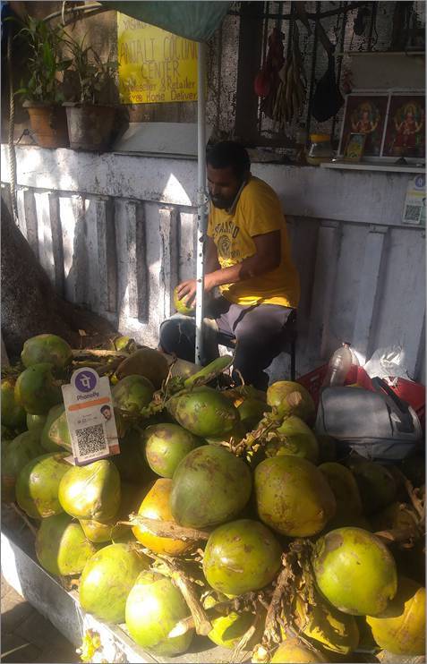 Индия: государство, экономика и инвестиции - i_007.jpg