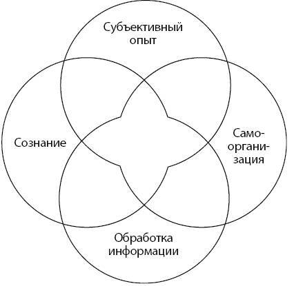Развивающийся разум. Как отношения и мозг создают нас такими, какие мы есть - i_002.jpg