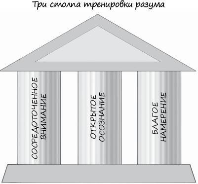 Развивающийся разум. Как отношения и мозг создают нас такими, какие мы есть - i_007.jpg