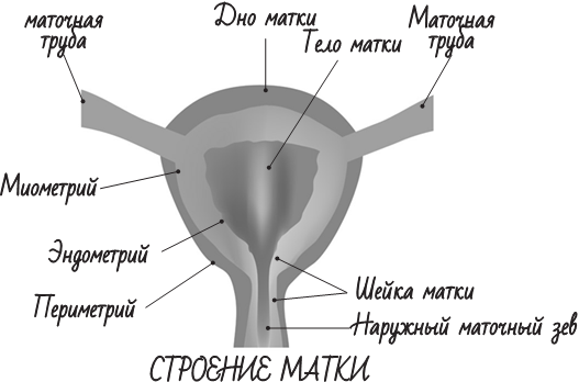 Project woman. Три главные книги о женском здоровье - i_008.png