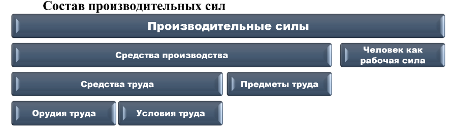 Автопортрет человечества. Энциклопедия в рассказах - img_3.png