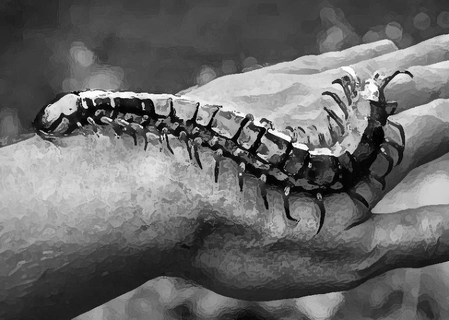 Не ходите дети в Африку гулять - _2.jpg