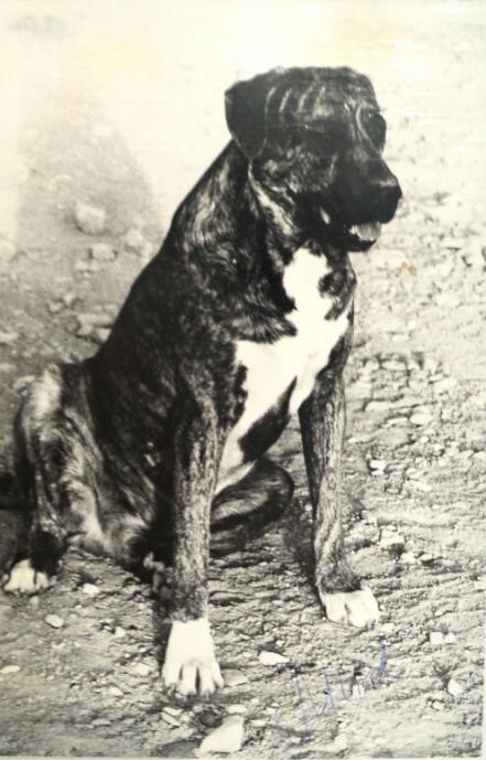 История одного полка - i_326.jpg