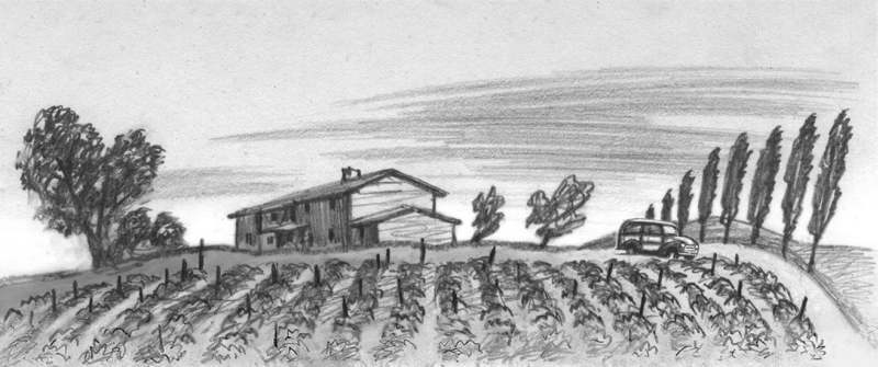 27. БУМЕРАНГ. Рассказы о мире и войне - i_004.jpg