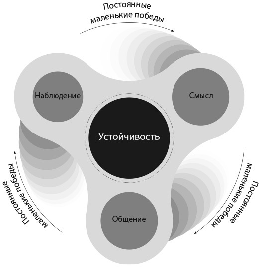 Психологический интеллект. Главная книга для формирования эмоциональной устойчивости - i_002.jpg