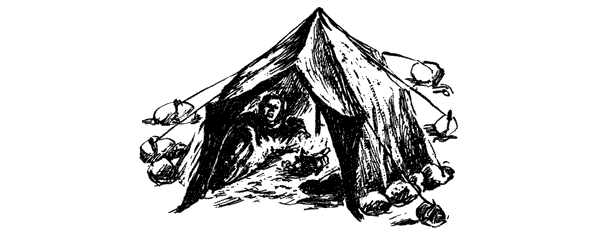 Тигр снегов. Неприкосновенная Канченджанга - i_006.png