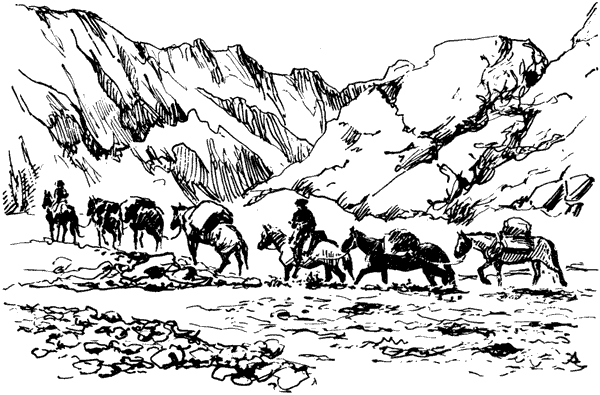 Тигр снегов. Неприкосновенная Канченджанга - i_007.png