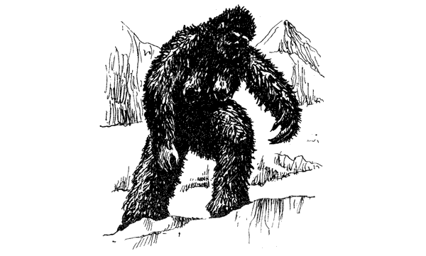 Тигр снегов. Неприкосновенная Канченджанга - i_018.png