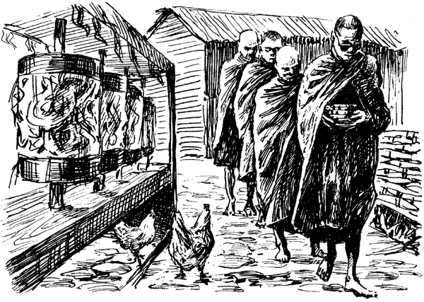 Тигр снегов. Неприкосновенная Канченджанга - i_021.png