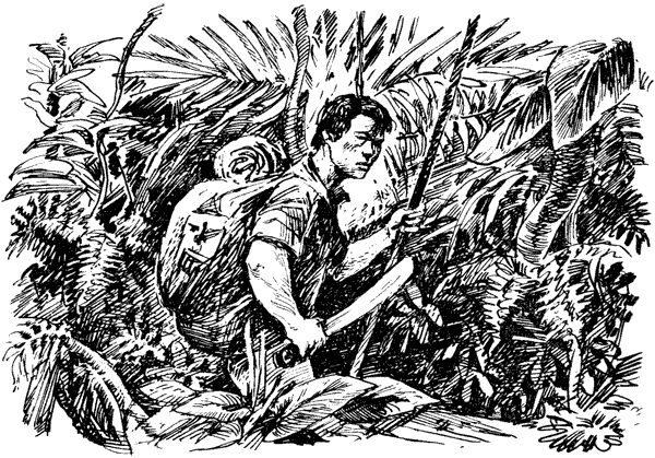 Тигр снегов. Неприкосновенная Канченджанга - i_025.png