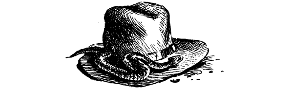 Тигр снегов. Неприкосновенная Канченджанга - i_026.png