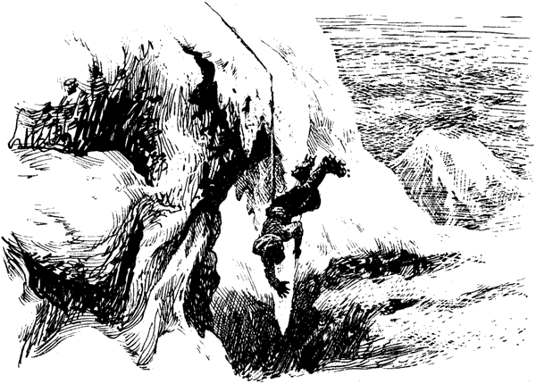 Тигр снегов. Неприкосновенная Канченджанга - i_027.png